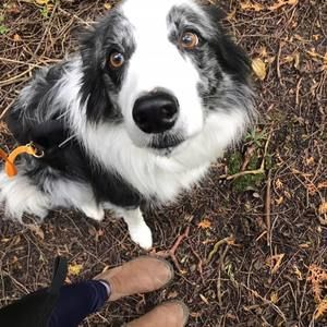 Meet your Posher, Madeleine